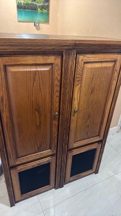 Cabinet With Pull Out 