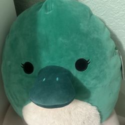 Squishmellow 16” Selassi Green Platypus