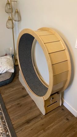 Cat wheel