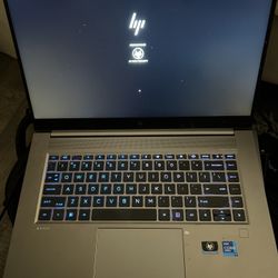 HP zbook G8 (Gaming Laptop)