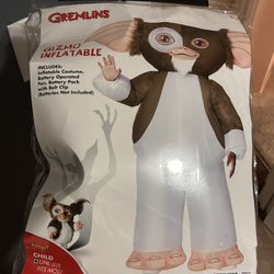 Gizmo Halloween Custom 