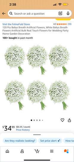 Baby's Breath