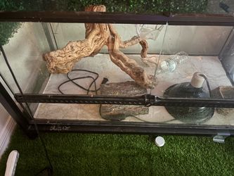 Large Glass Reptile Enclosure – Used