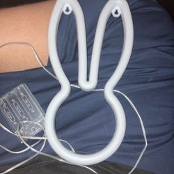 bunny light 