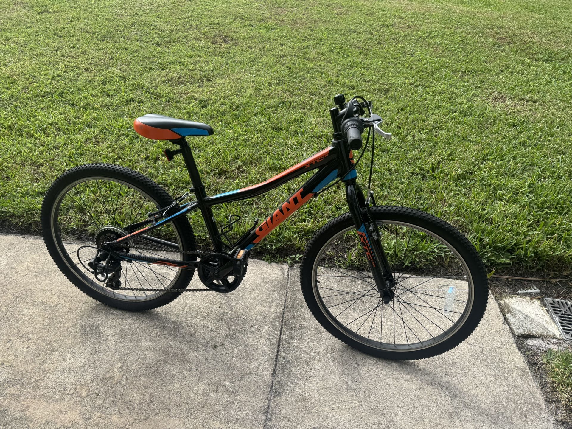 Giant Young Adult Bike