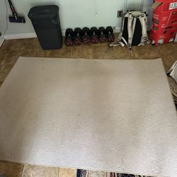 Rug - Free