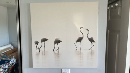 Wall Art Set of 2 flamingo canvas prints by Staffan Widstrand
