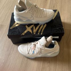 LeBron XVII Low 