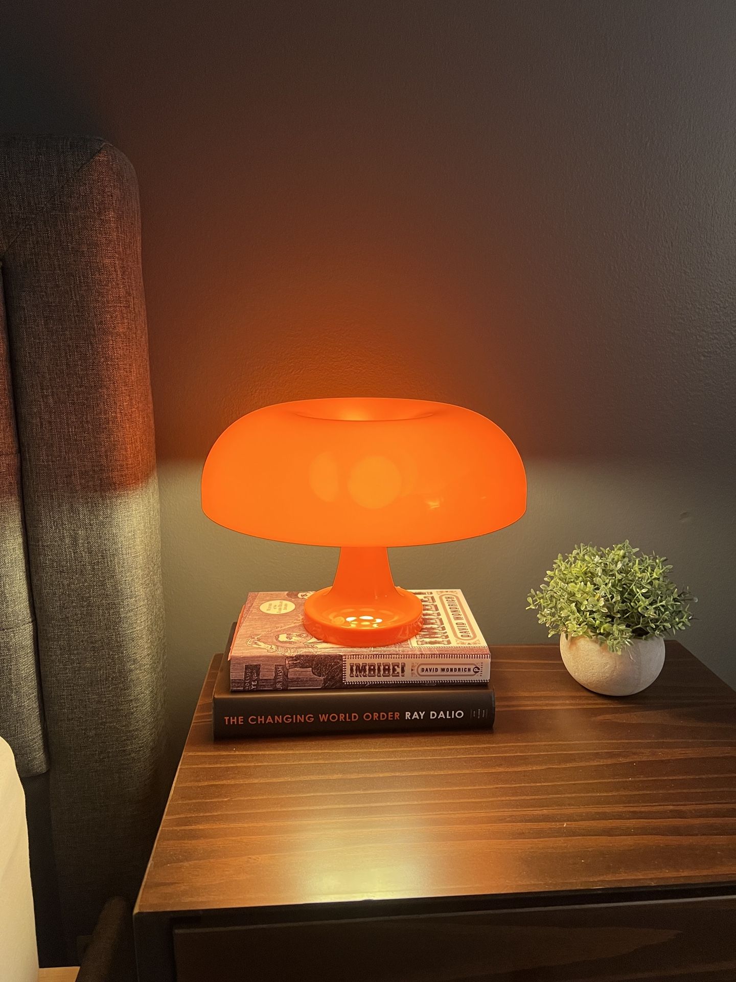 Mushroom Lamp