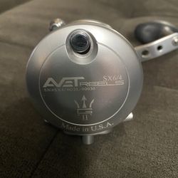 Avet SX 6/4 Level Wind 