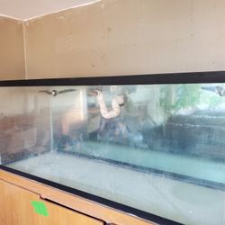 235 Gallon Tanks 