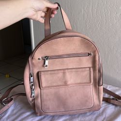 Pale Pink Gap Backpack 12” Wide By 12”