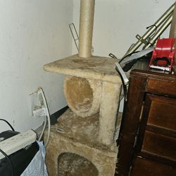 Cat Tree 