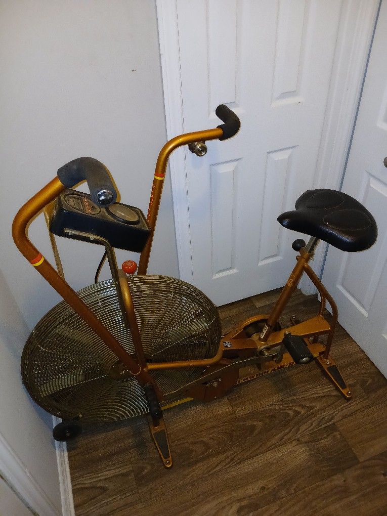 Schwinn Airdyne Exercise Bike