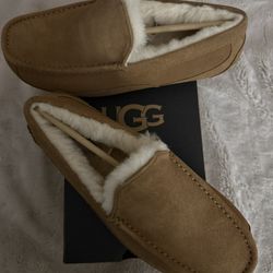 Men Ascot UGG  Slipper