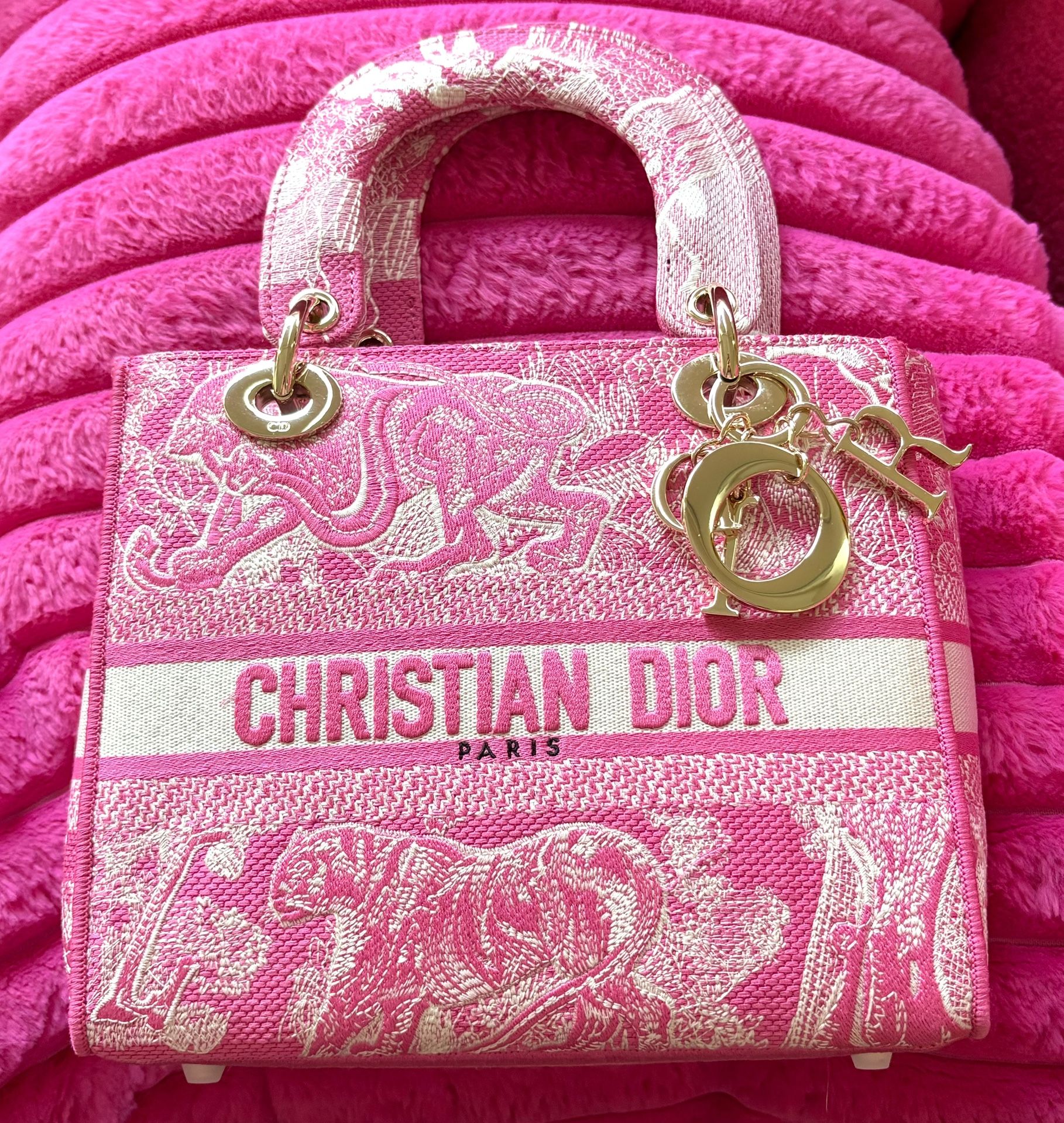 Christian Dior Bag