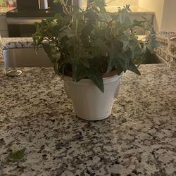 Faux Ivy Decorative Plant