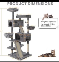 Cat player new only 65$