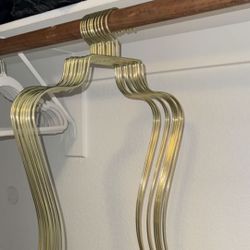 Bikini Clothes Hangers 