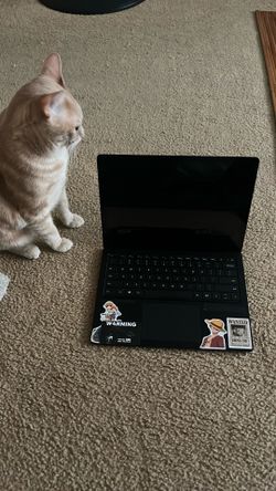 OBO  - MICROSOFT SURFACE LAPTOP 3