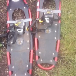 Snow Shoes 