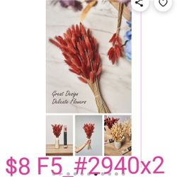 Bunny TAILS Dried Flowers – 60/90/120 Handpicked Bouquets – Natural Lagurus Pampas Grass –Boho Flowers Home Decor – Dry Bridal Bouquet

Red 60 Pack