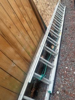Ladder 24ft