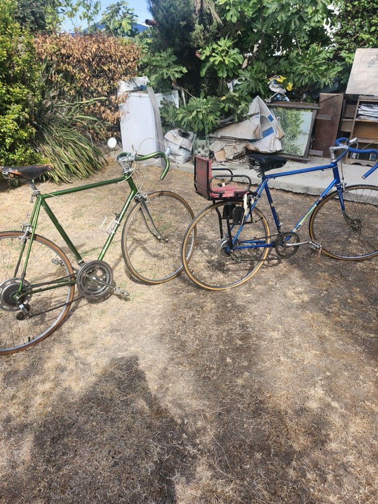 Schwinn Bikes Mens And Womens..1969