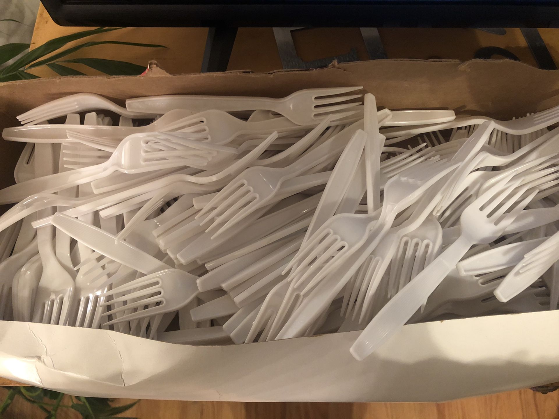 Box of 500 spoons & box of 500 forks