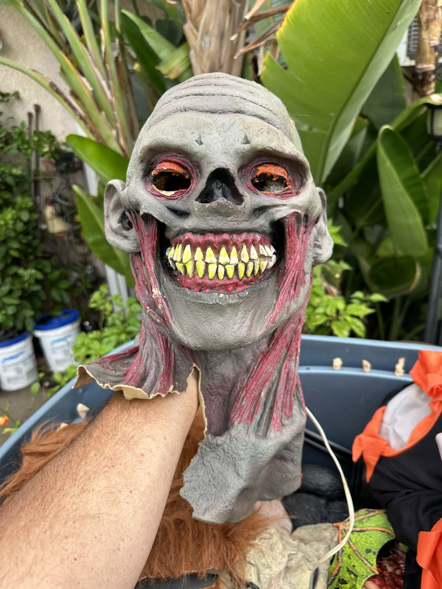 Halloween Haunted House Costumes, Masks, Decorations