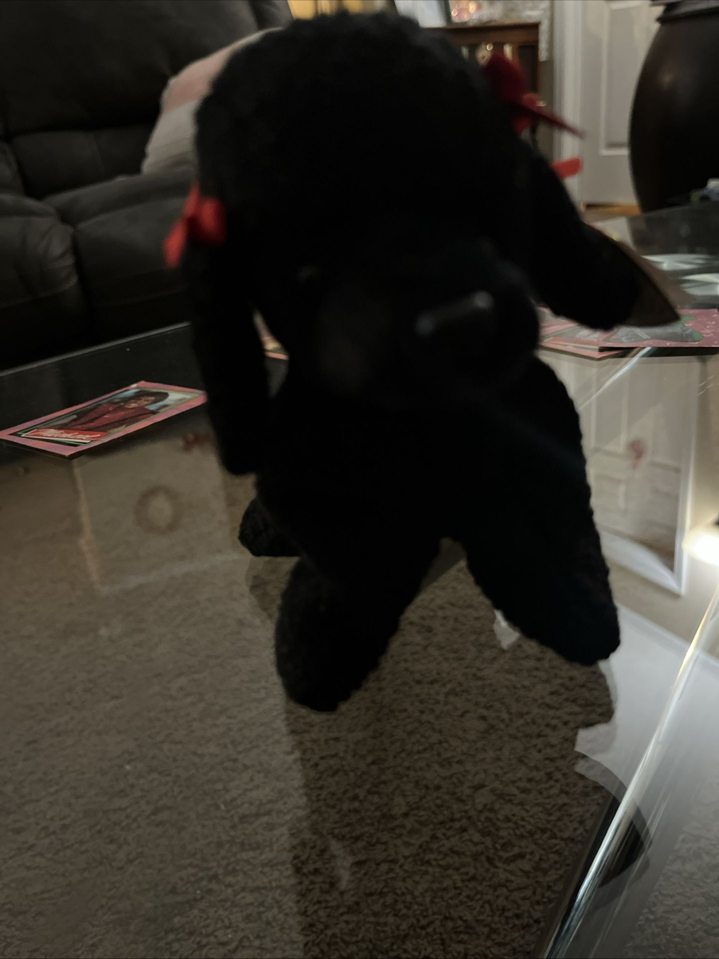 Ty 1998 Beanie Babies Collection GIGI