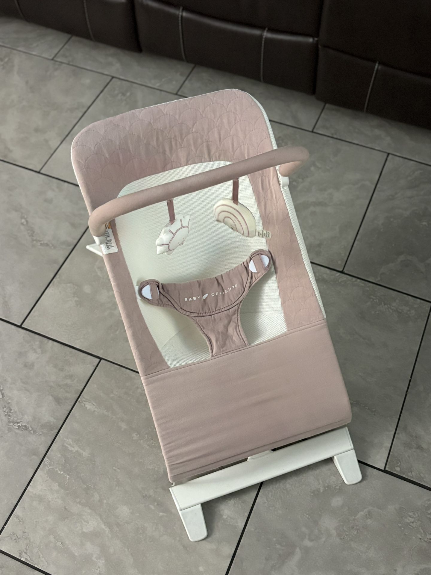 Baby Delight Baby Bouncer 