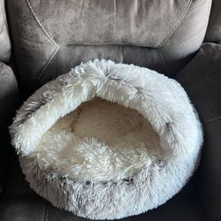 Cat Bed 