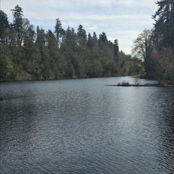 Selling to ticket  to go se Carlos vive this may 14