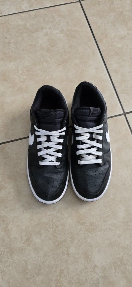 Reverse panda Nike Dunks 