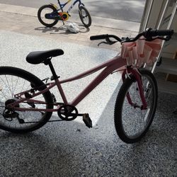 Retrospec pink 24 Inch 10 Speed Bicycle