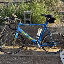 Cannondale Multisport 800 Triathlon 