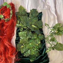 Riddler And Poison Ivy Costume