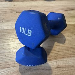 10lb Weights 