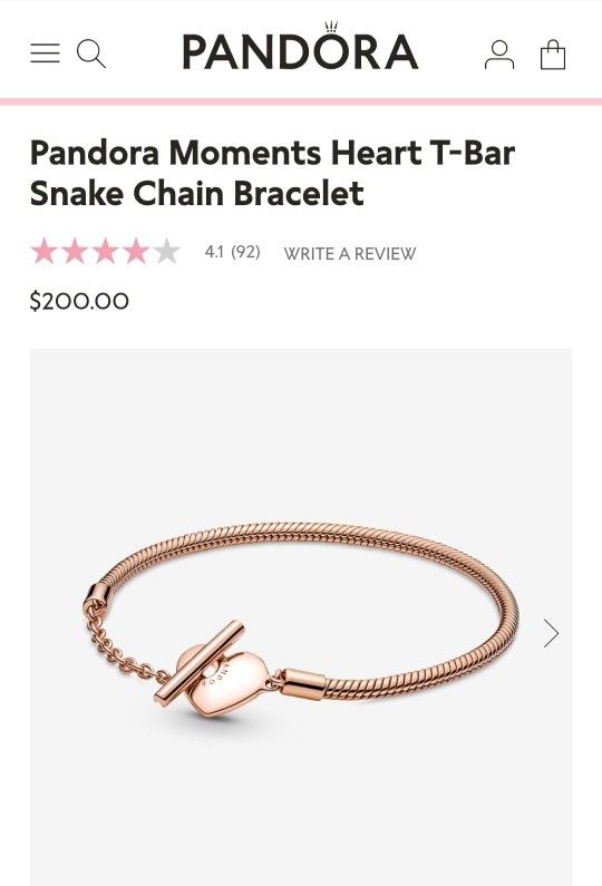 Pandora Charm Bracelet