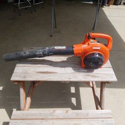 Echo Leaf Blower