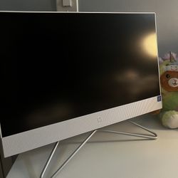 HP 21.5" All-in-One PC