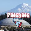 PingBingPlug On Ig