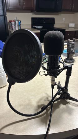 Microphone