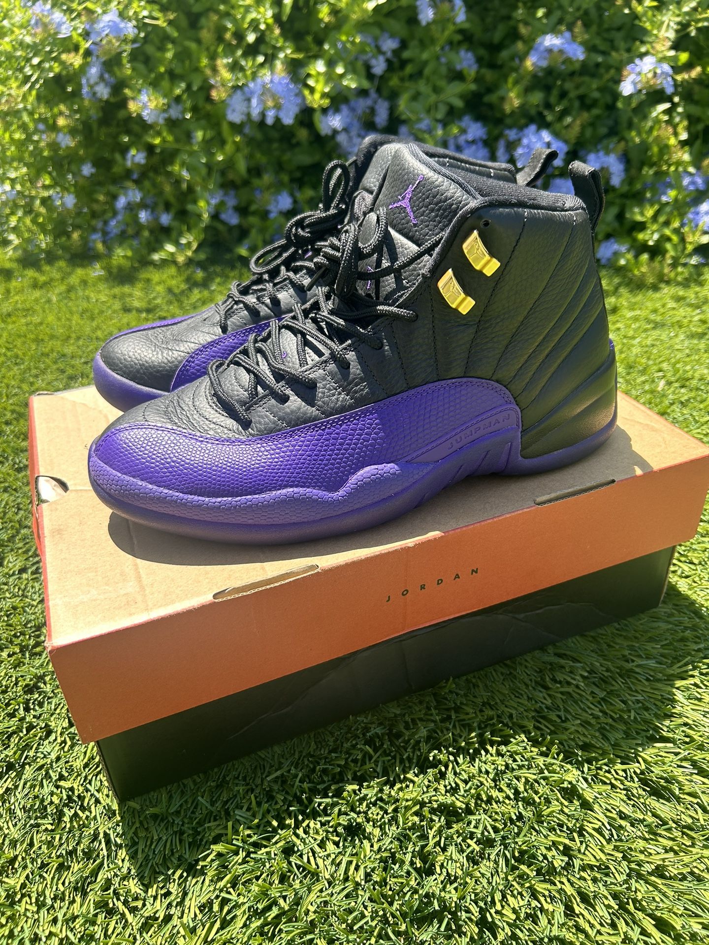 Jordan 12 Retro