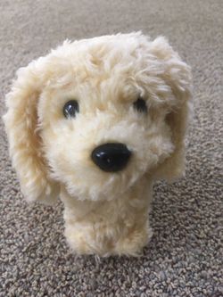 American Girl Doll pet. Honey