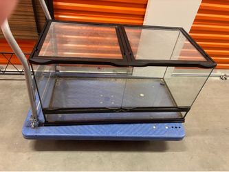 Reptile tank