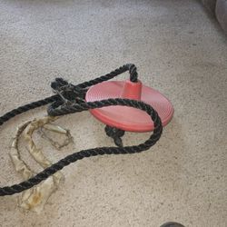Tree Swing