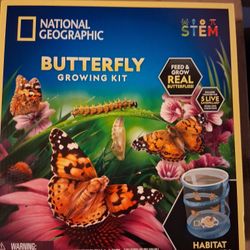 Grow Real Butterfly's $10 Each I Have 4 Of Each