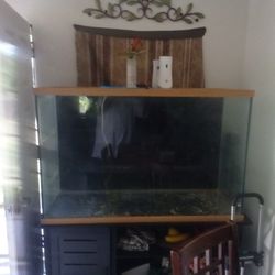 Fish Tank 